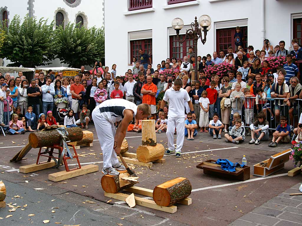 forcebucheron3.jpg